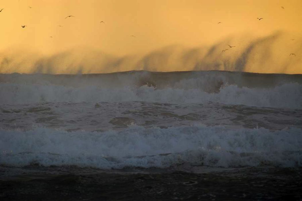 Nom de l'image : D1158869-01_(c)Norbert-JUNG — Description :